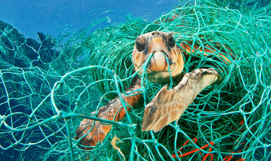 How Long Does Plastic Last In The Ocean